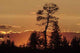 Sunset Wall Decal Design 3