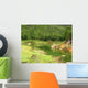 Echo Point Ooty Wall Decal