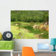 Echo Point Ooty Wall Decal