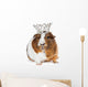 Cute Guinea Pig Wearing Wall Decal