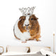 Cute Guinea Pig Wearing Wall Decal