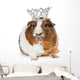 Cute Guinea Pig Wearing Wall Decal