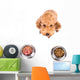 Poodle Dog Choosing between Wall Stickers Wall Decal