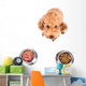 Poodle Dog Choosing between Wall Stickers Wall Decal