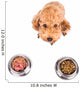 Poodle Dog Choosing between Wall Stickers Wall Decal