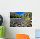Sockeye Salmon Gulkana River Wall Decal