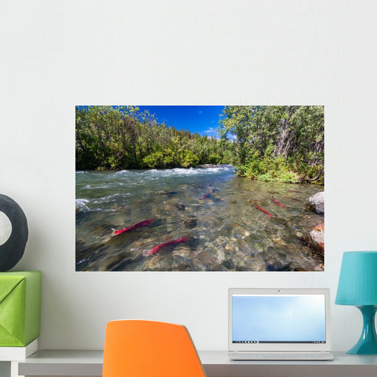 Sockeye Salmon Gulkana River Wall Decal
