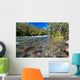 Sockeye Salmon Gulkana River Wall Decal