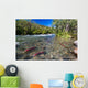 Sockeye Salmon Gulkana River Wall Decal