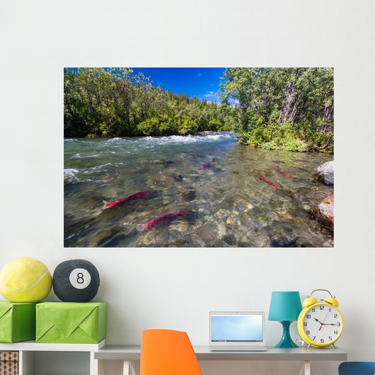 Sockeye Salmon Gulkana River Wall Decal