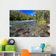 Sockeye Salmon Gulkana River Wall Decal