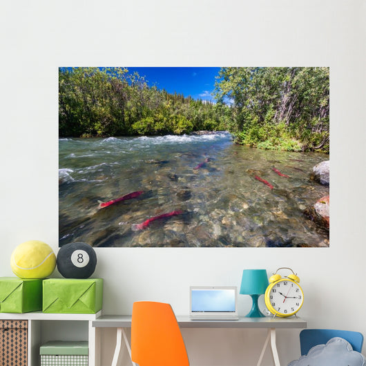 Sockeye Salmon Gulkana River Wall Decal