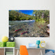 Sockeye Salmon Gulkana River Wall Decal