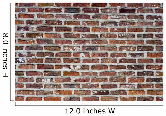 Rough Red Bricks and Wall Decal