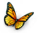 Monarch Butterfly Wall Decal