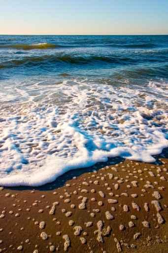 Waves Wall Decal