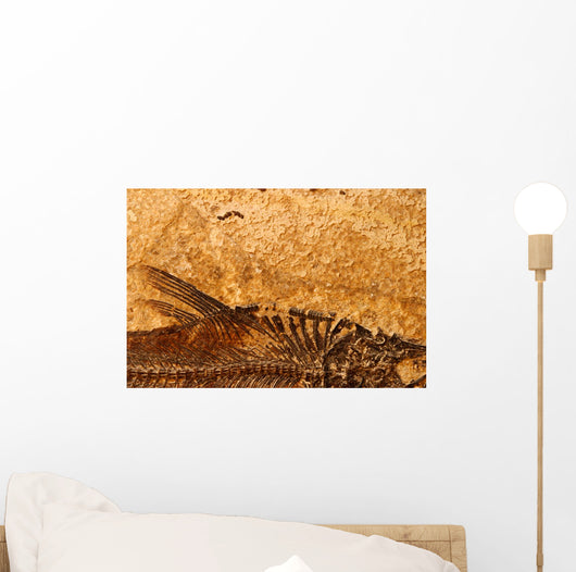 Fossil Fish Detail Wall Decal