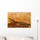 Fossil Fish Detail Wall Decal