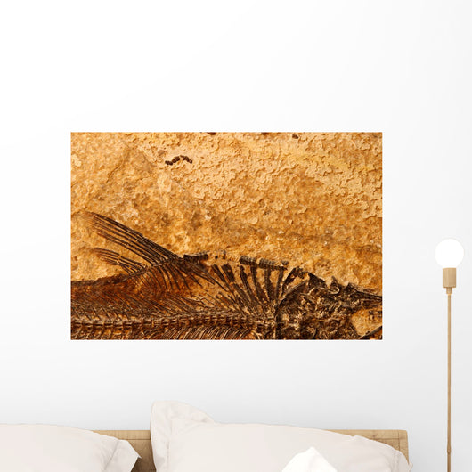 Fossil Fish Detail Wall Decal