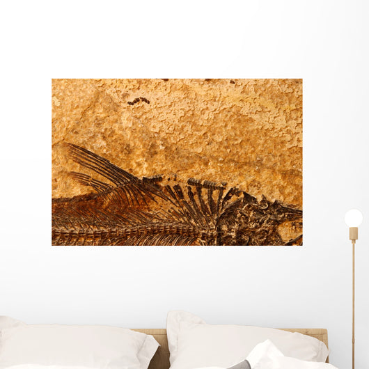 Fossil Fish Detail Wall Decal