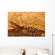 Fossil Fish Detail Wall Decal