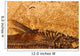 Fossil Fish Detail Wall Decal