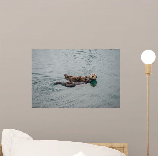 Female Adult Sea Otter Wall Decal