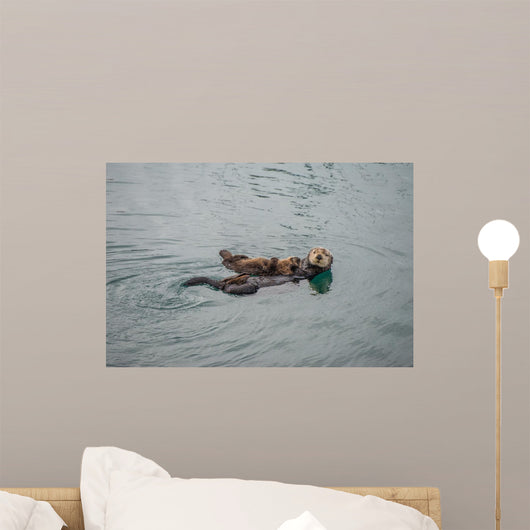 Female Adult Sea Otter Wall Decal