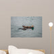 Female Adult Sea Otter Wall Decal