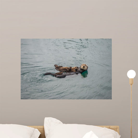 Female Adult Sea Otter Wall Decal