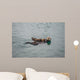 Female Adult Sea Otter Wall Decal