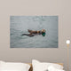Female Adult Sea Otter Wall Decal
