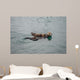 Female Adult Sea Otter Wall Decal