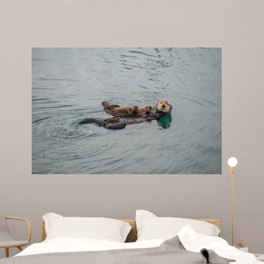 Female Adult Sea Otter Wall Decal