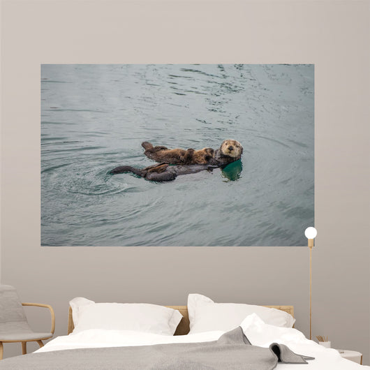 Female Adult Sea Otter Wall Decal