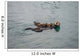 Female Adult Sea Otter Wall Decal