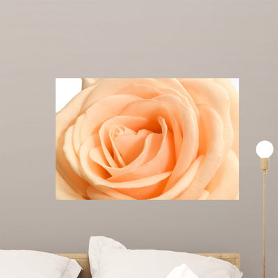 Rose Wall Decal shown on a wall