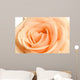 Rose Wall Decal