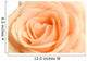 Rose Wall Decal