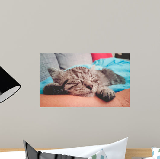 Cuddly Little Kitty Wall Decal