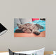 Cuddly Little Kitty Wall Decal