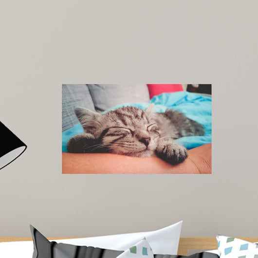 Cuddly Little Kitty Wall Decal