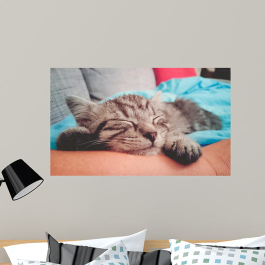 Cuddly Little Kitty Wall Decal