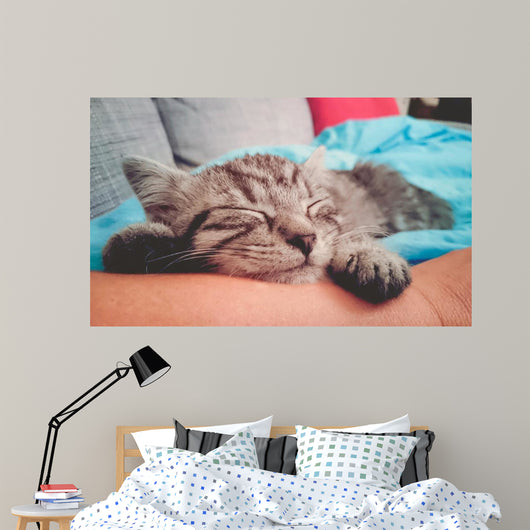 Cuddly Little Kitty Wall Decal