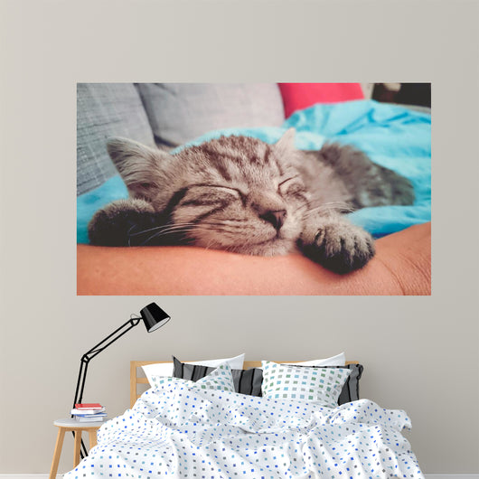 Cuddly Little Kitty Wall Decal