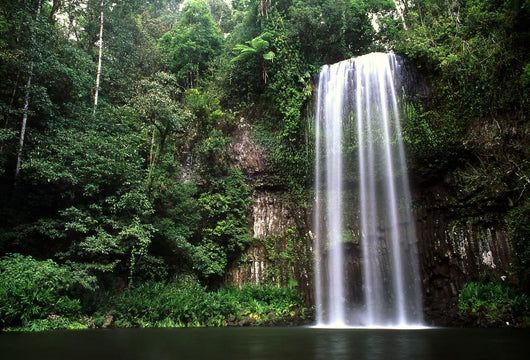 Waterfalls Wall Decal