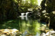 Paradise 2 Wall Decal