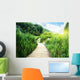 Wood Way Deep Forest Wall Decal