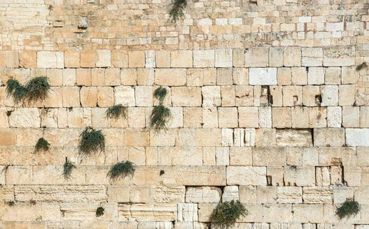 Up Western Wall Also Wall Decal