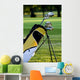 Set up New Golf Wall Decal
